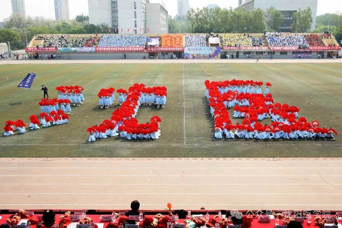 图片包含 路, 户外, 草, 人们 AI 生成的内容可能不正确。